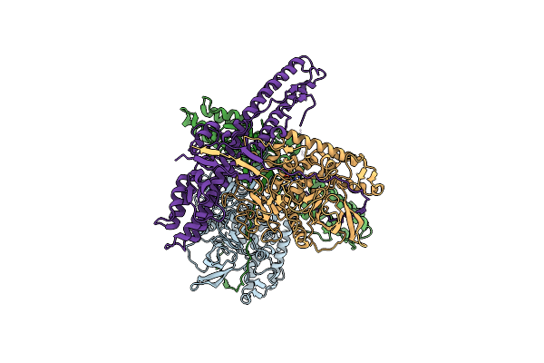 5BQM image