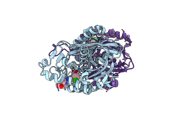 5BQS image