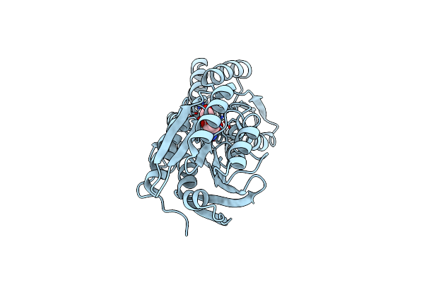 5BR1 image