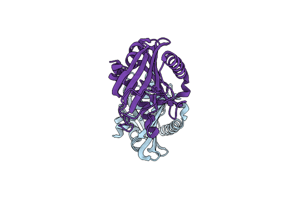 5BRL image
