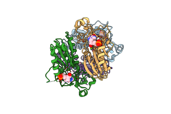 5BRN image