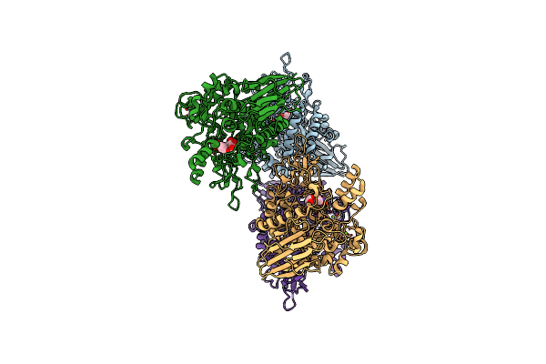 5BRP image