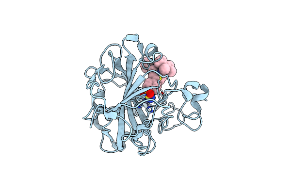 5BRV image