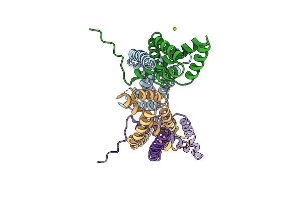 5BS1 image