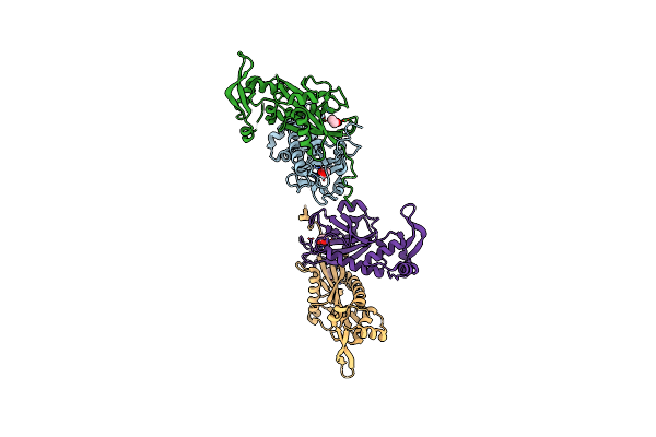 5BS6 image