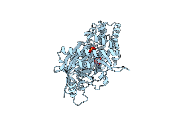 5BSB image