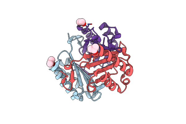 5BSC image