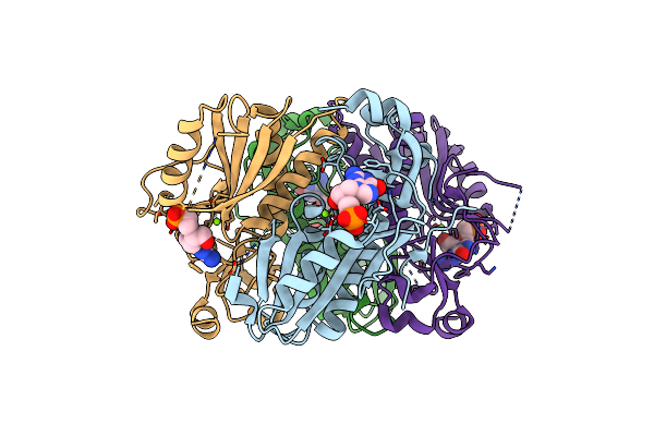 5BSK image