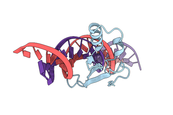 5BT2 image