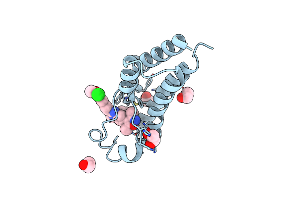 5BT5 image
