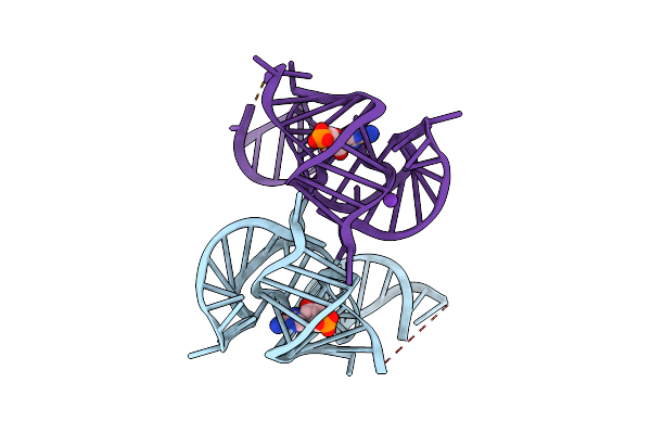 5BTP image