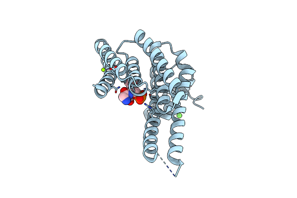 5BTV image