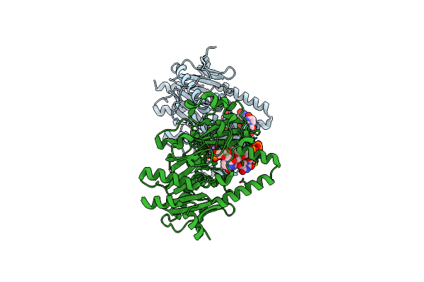 5BUD image
