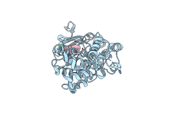 5BUI image
