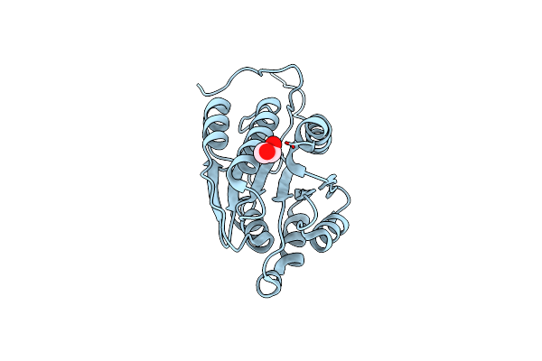 5BV8 image