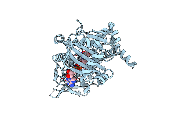 5BVA image