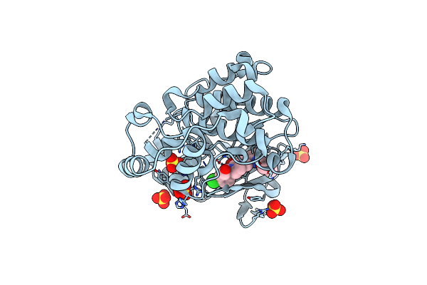 5BVD image
