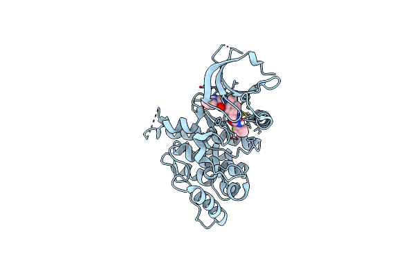 5BVN image