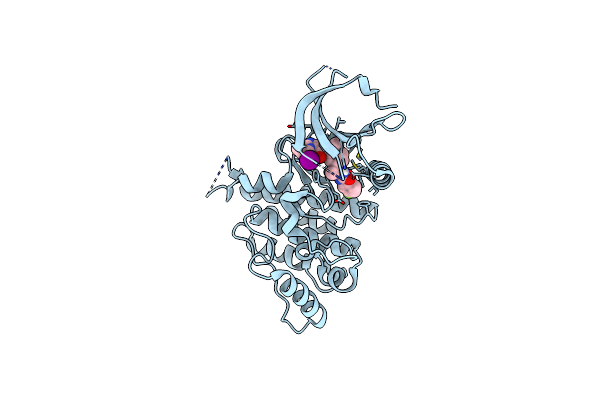 5BVO image