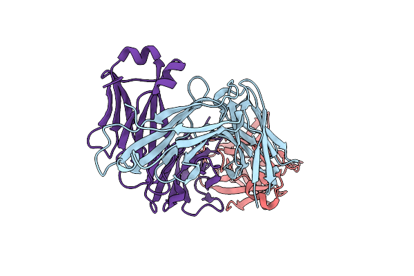 5BVP image