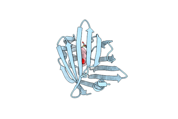5BVT image