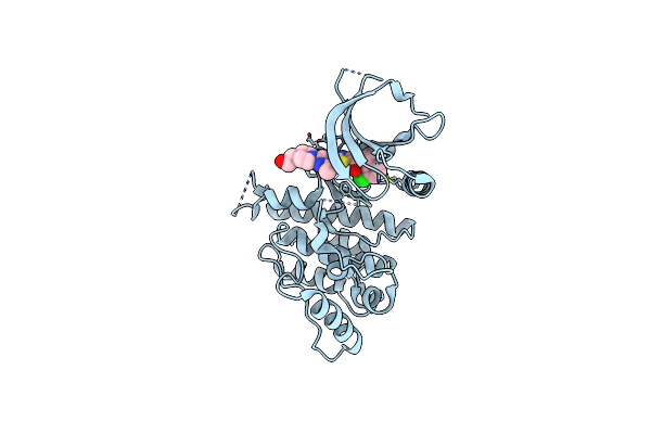 5BVW image