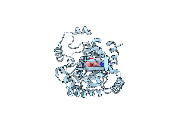 5BX0 image