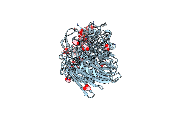 5BX2 image