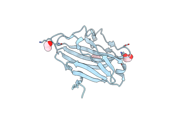5BXG image