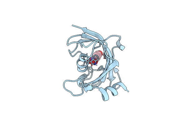 5BXJ image