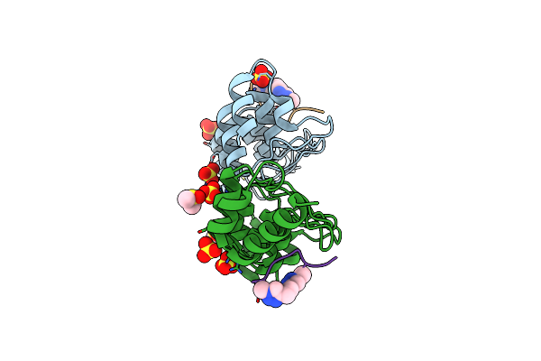 5BXO image