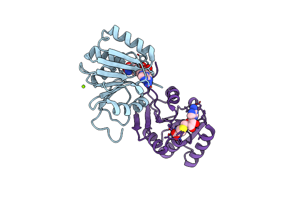 5BXY image