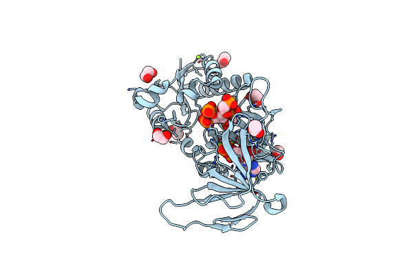 5BYB image