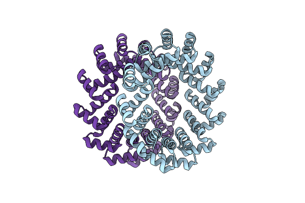 5BYO image