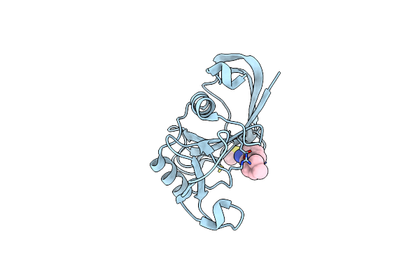 5BZP image