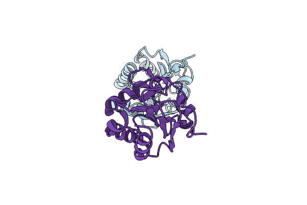 5C04 image