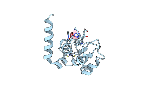 5C0L image