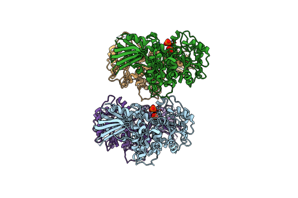 5C16 image