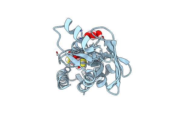 5C17 image