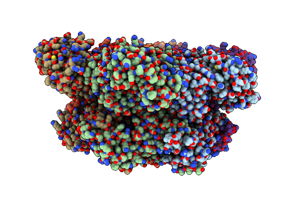 5C19 image