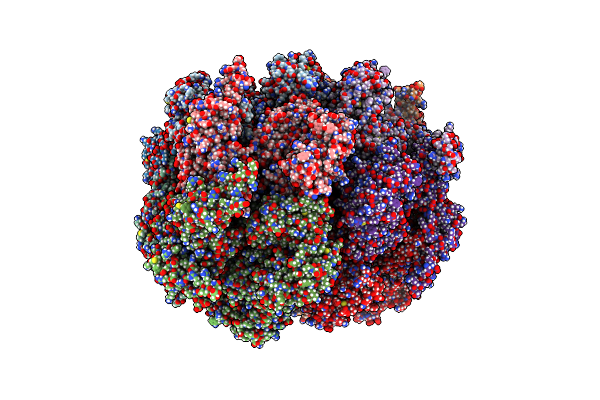 5C1A image
