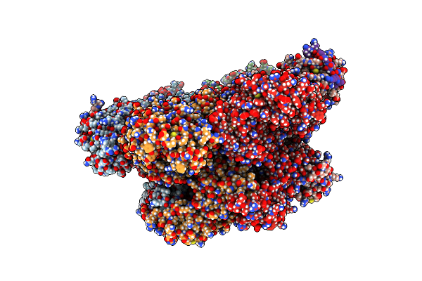 5C1B image