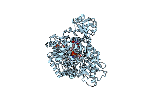 5C1D image
