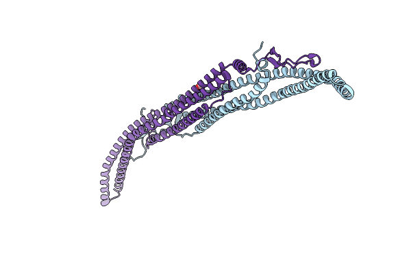 5C1F image