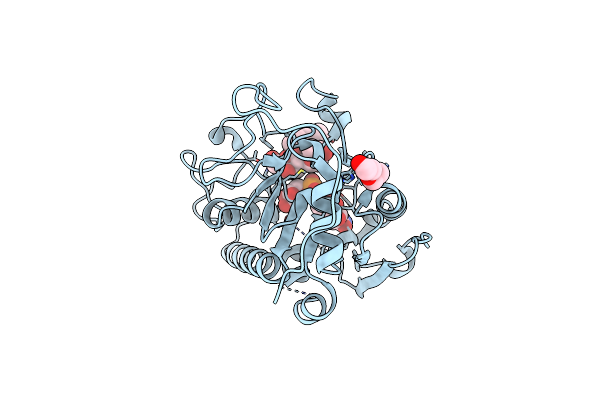 5C1H image