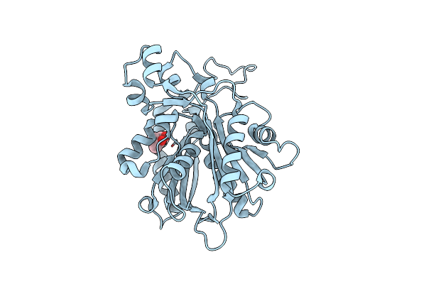 5C1J image