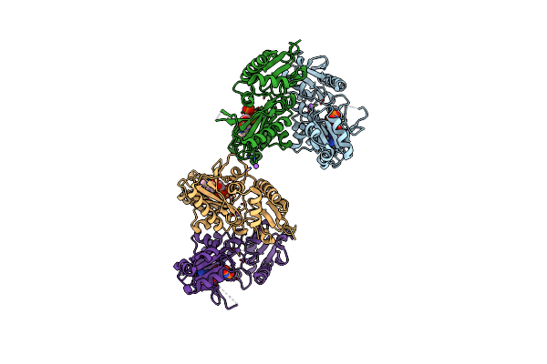 5C1O image