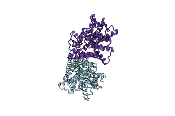 5C1W image
