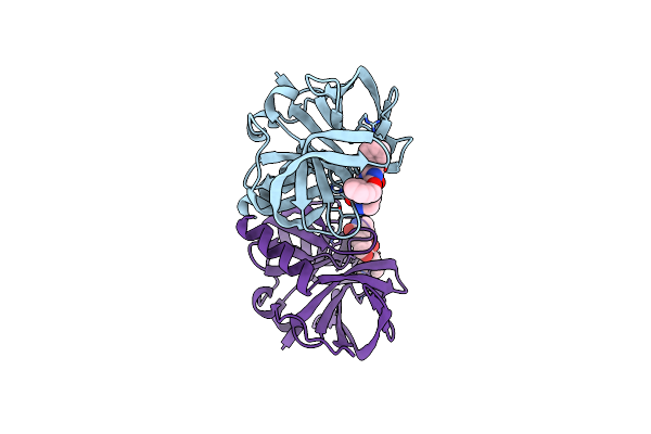 5C1X image