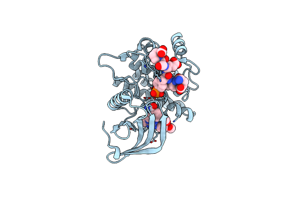 5C26 image
